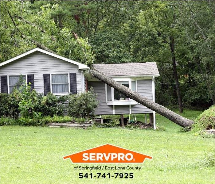 A tree has fallen on a house.